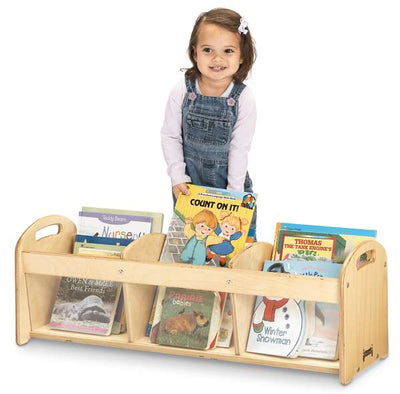 Book Storage Cabinet with Transparent Panels